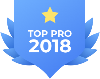 Top_pro_2018.png